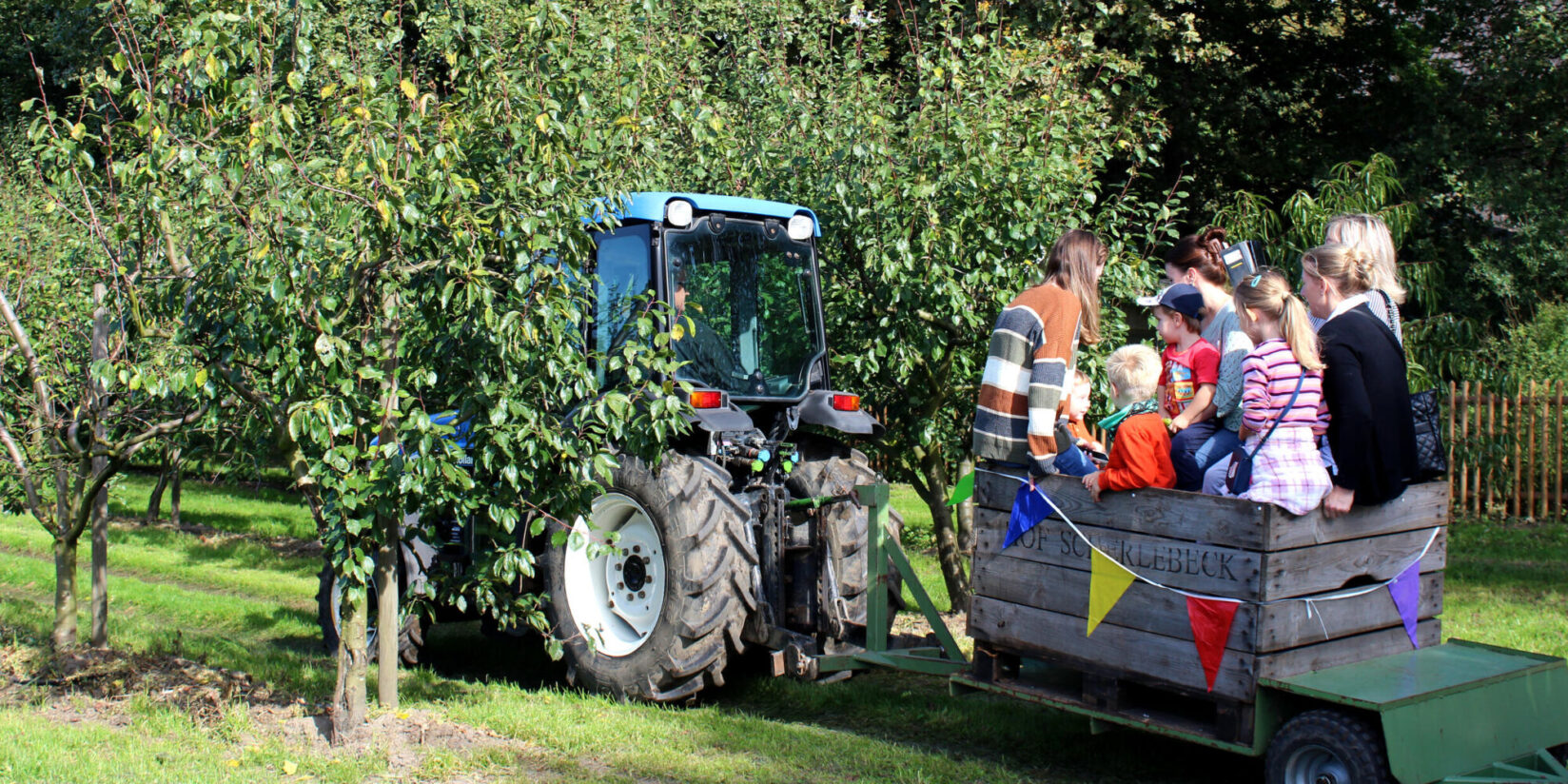 Premiere in der Ried & Pop-Art auf Ewald