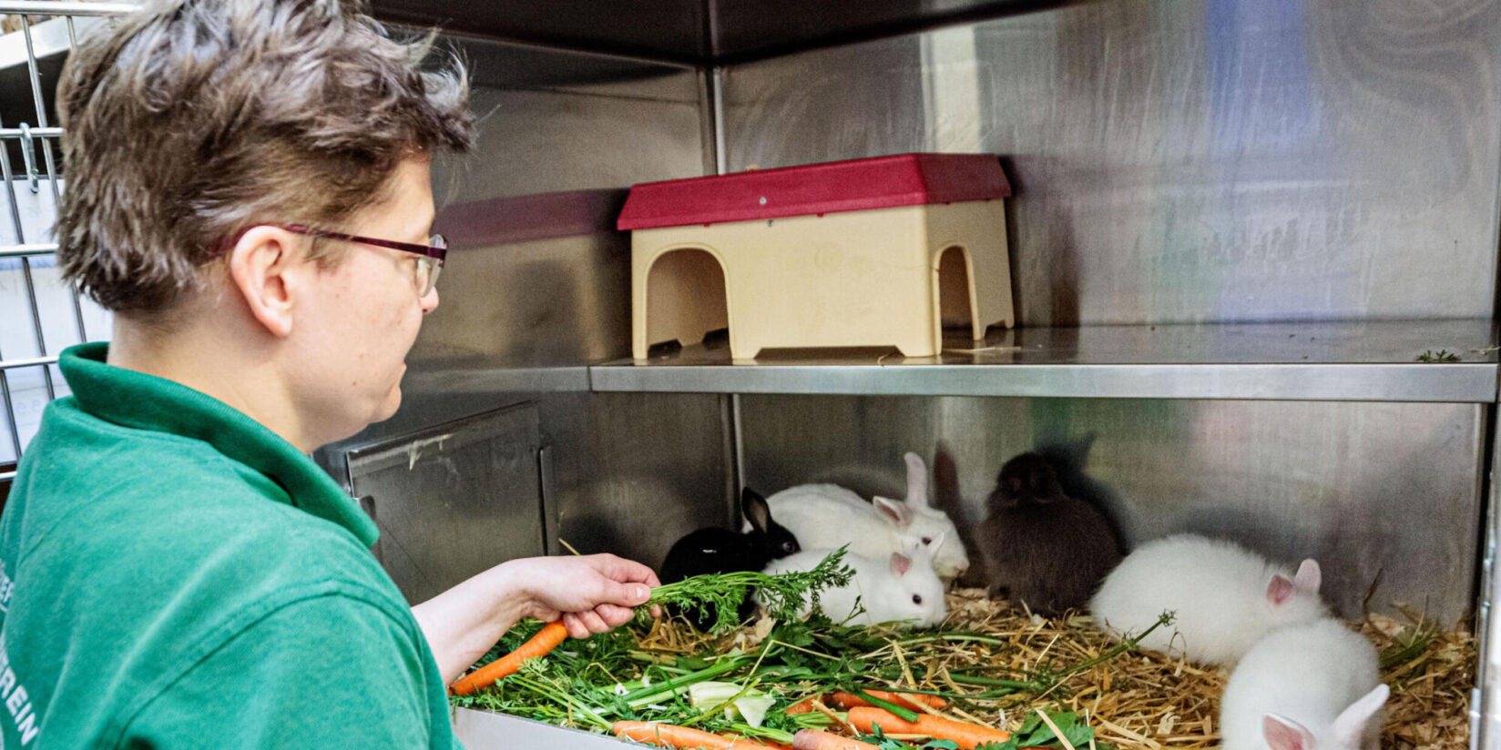 Fundtiere Oer-Erkenschwick: Tierheim Castrop-Rauxel zuständig