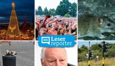 Dortmund 2025: Ein Jahr in Leser-Stimmen