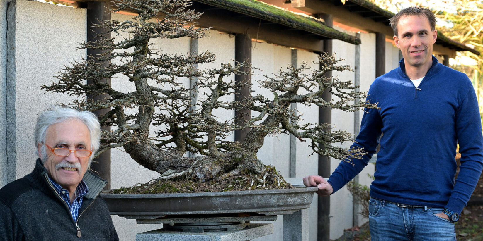 Bei Ingo und Wolfgang Klemend dreht sich alles um Bonsais