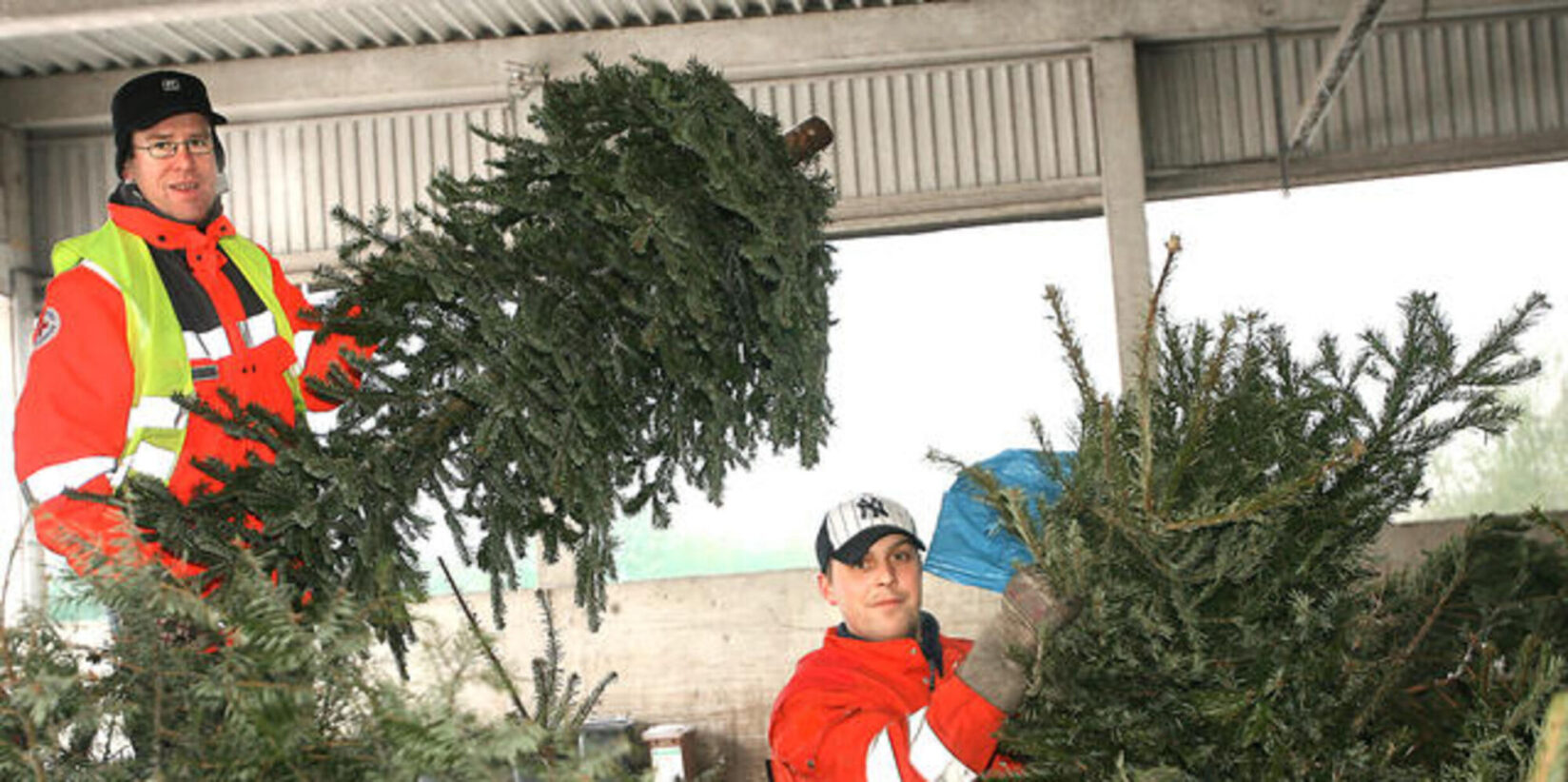 Termine & Regeln im Überblick