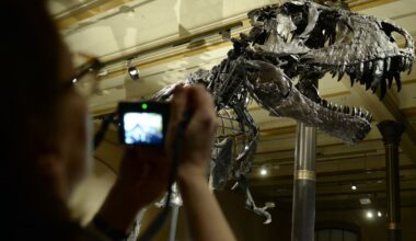 Naturkundemuseum Berlin: Wie Russen-Hacker per „Brute-Force-Angriff“ eine Berliner Institution lahmlegen – auf Jahre