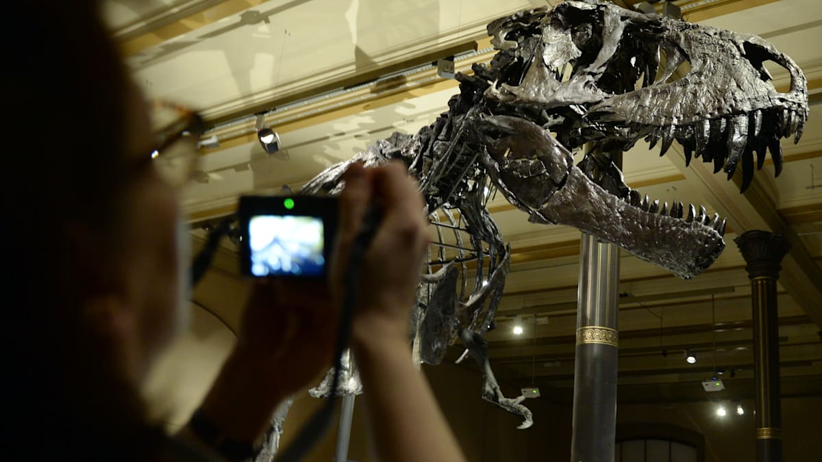 Naturkundemuseum Berlin: Wie Russen-Hacker per „Brute-Force-Angriff“ eine Berliner Institution lahmlegen – auf Jahre