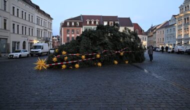 Eklat kurz vor Weihnachten: Unbekannte sägen Christbaum auf Altmarkt in Sachsen ab | Regional