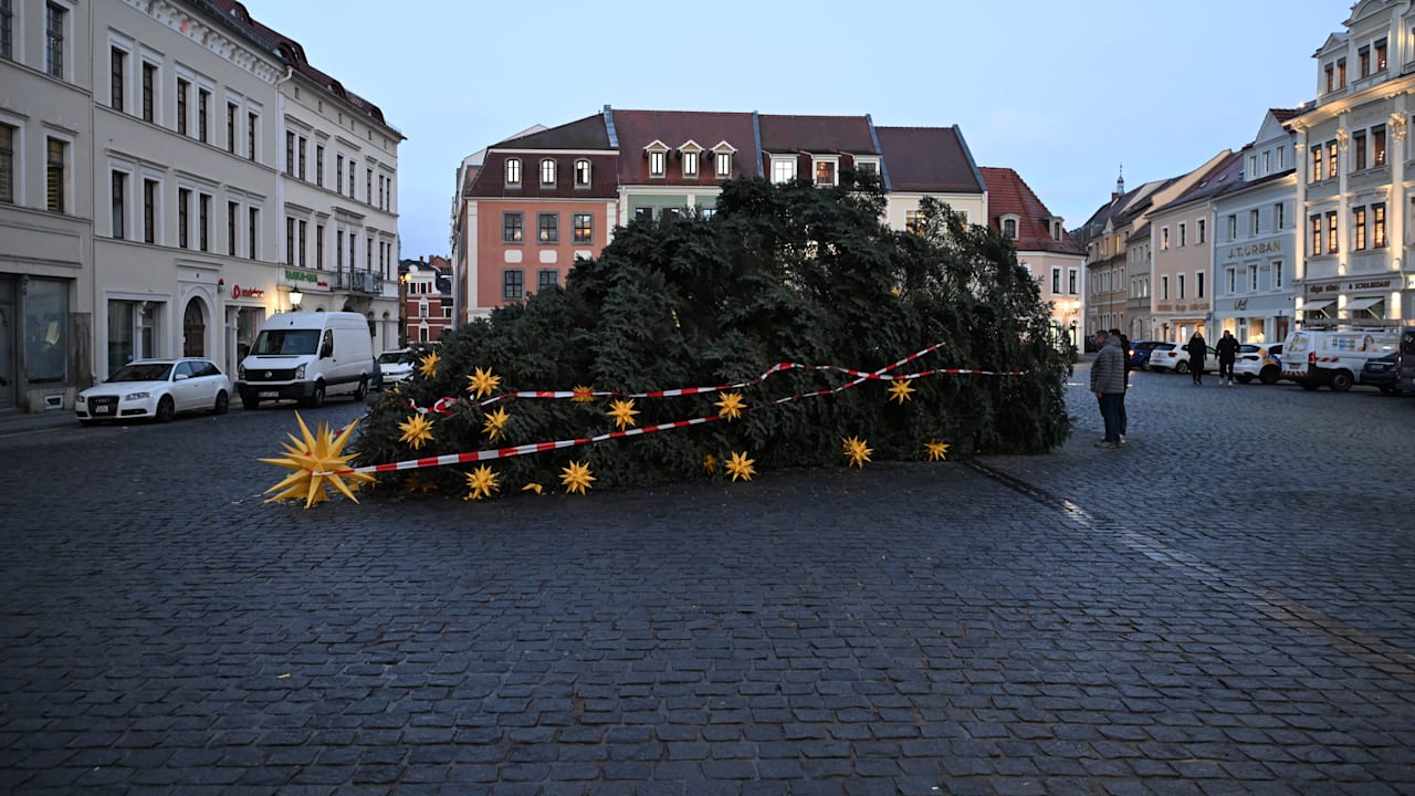 Eklat kurz vor Weihnachten: Unbekannte sägen Christbaum auf Altmarkt in Sachsen ab | Regional