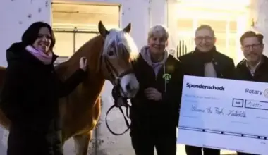 Neues Therapiepferd für die Kinderhilfe - Ludwigshafen