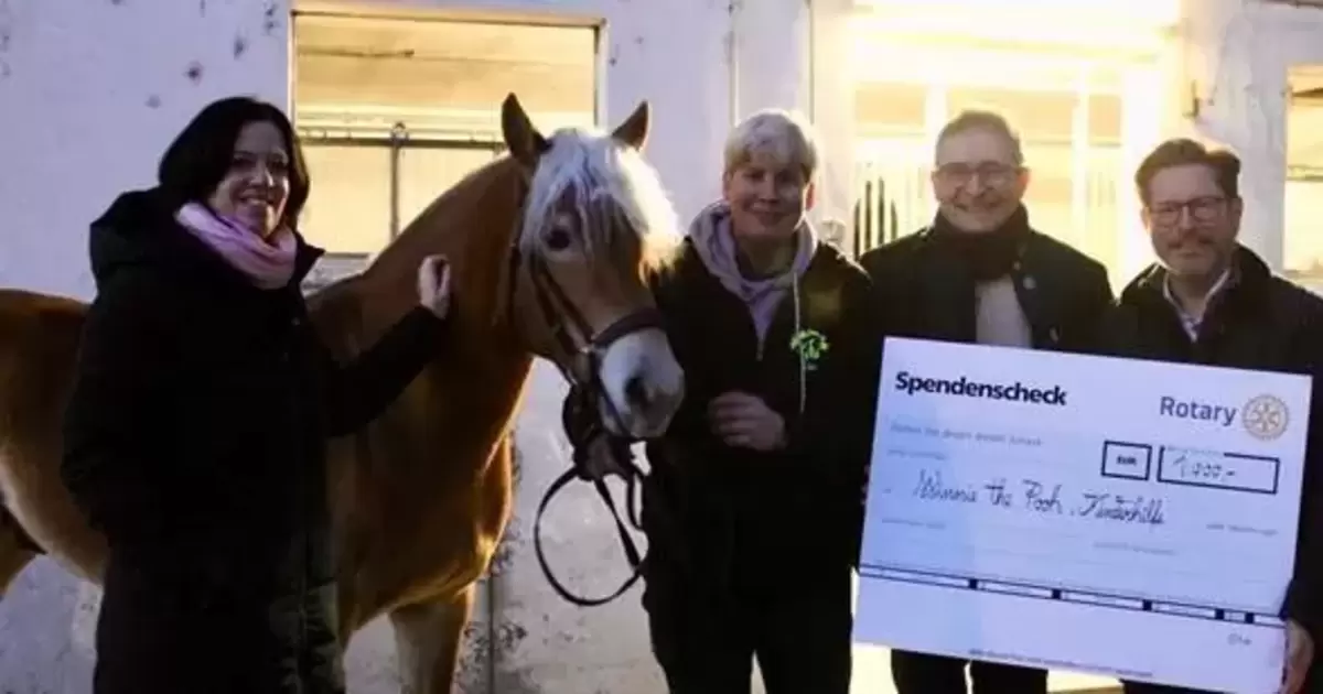 Neues Therapiepferd für die Kinderhilfe - Ludwigshafen