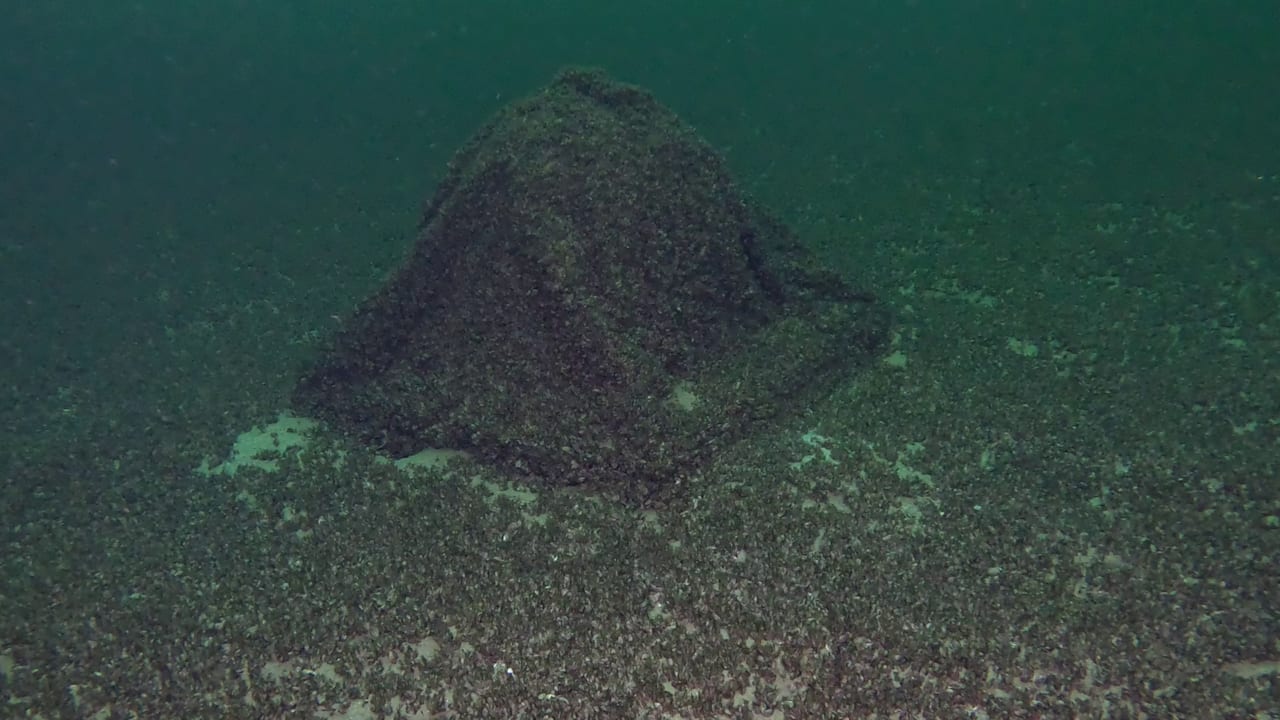 In Deutschlands größtem See: Rätsel um 800 Kilogramm schwere Kugel | News