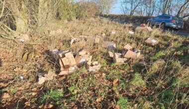 Pakete sind im Wald aufgetaucht