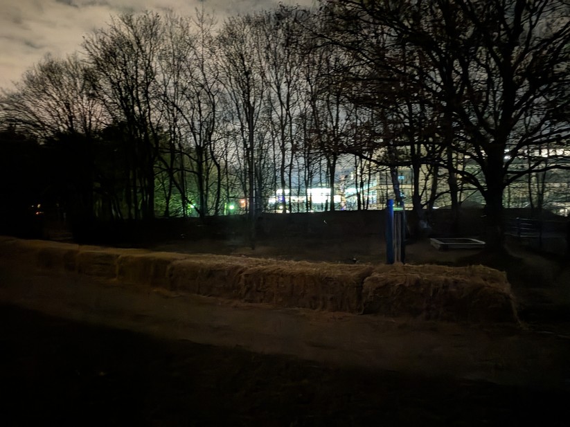 Google Pixel 10 Pro Fold - Originalaufnahmen