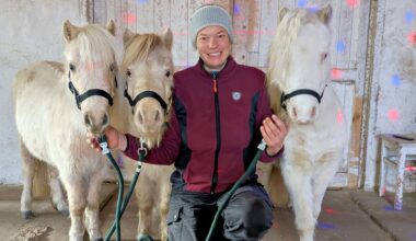 Discolicht im Pferdestall: Christina Dietmann mit ihren niedlichen Miniaturpferden (von links): Famina, Flora und Magic.