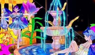 Harry Potter kommt nach Mitteldeutschland