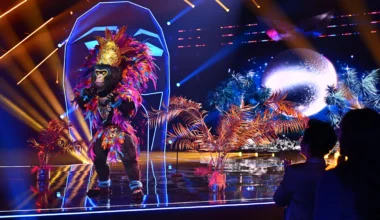 "The Masked Singer" 2025: Er war King