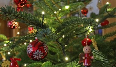 Manche kaufen ihren Weihnachtsbaum auf den letzten Drücker und bekommen dann leider auch noch Ärger, wie jetzt in Halle passiert,