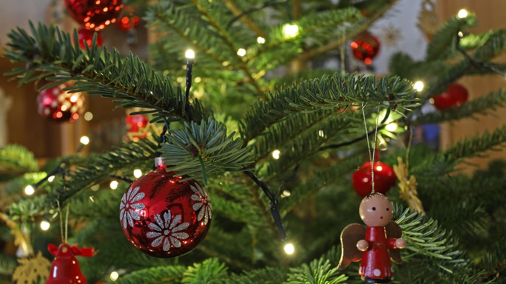 Manche kaufen ihren Weihnachtsbaum auf den letzten Drücker und bekommen dann leider auch noch Ärger, wie jetzt in Halle passiert,