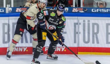 Deutsche Eishockey Liga: Auf und ab geht weiter: Eisbären suchen die Konstanz