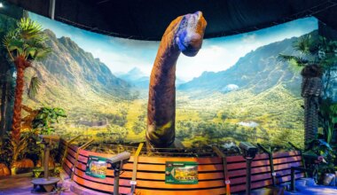 München: Das hat die "Jurassic World"-Ausstellung 2026 im Olympiapark zu bieten - München