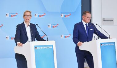Parteispenden 2025: AfD kassiert doppelt so viel wie SPD | Politik