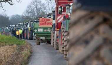 Agrar: Wieder Trecker-Proteste - Warum die Landwirte protestieren