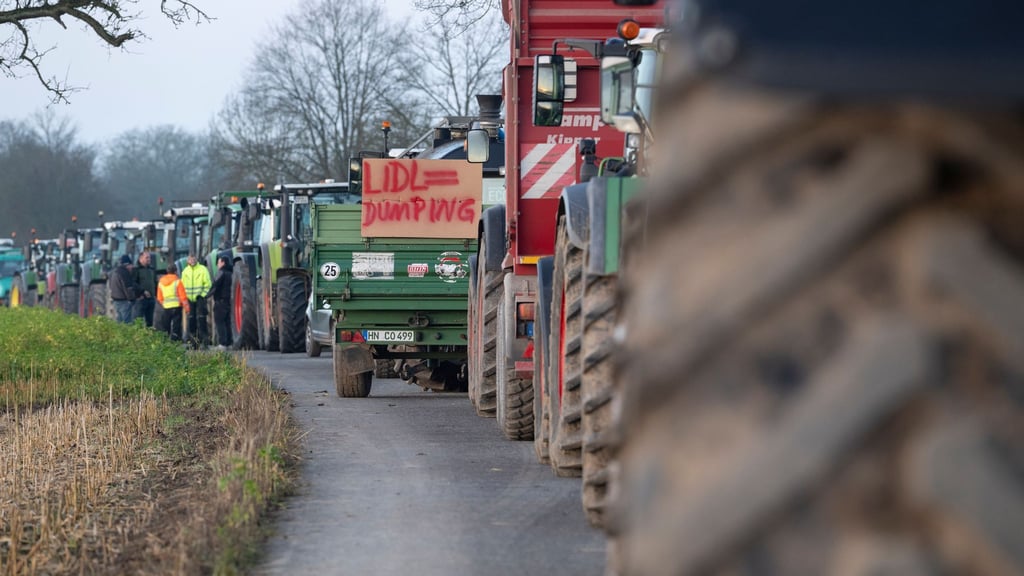 Agrar: Wieder Trecker-Proteste - Warum die Landwirte protestieren