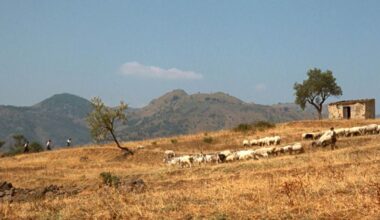 4,72 von 5 Sternen! Heute läuft einer der besten Filme aller Zeiten im TV – laut den deutschen Zuschauern - Kino News