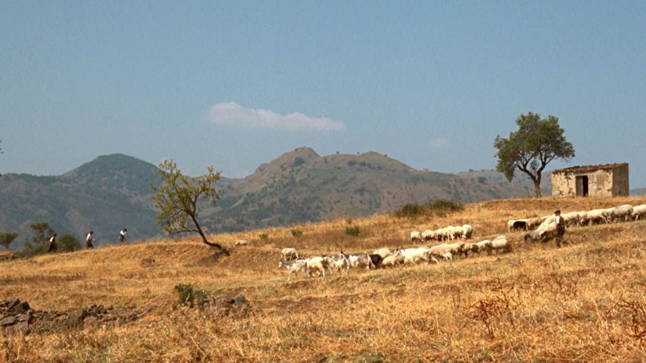 4,72 von 5 Sternen! Heute läuft einer der besten Filme aller Zeiten im TV – laut den deutschen Zuschauern - Kino News