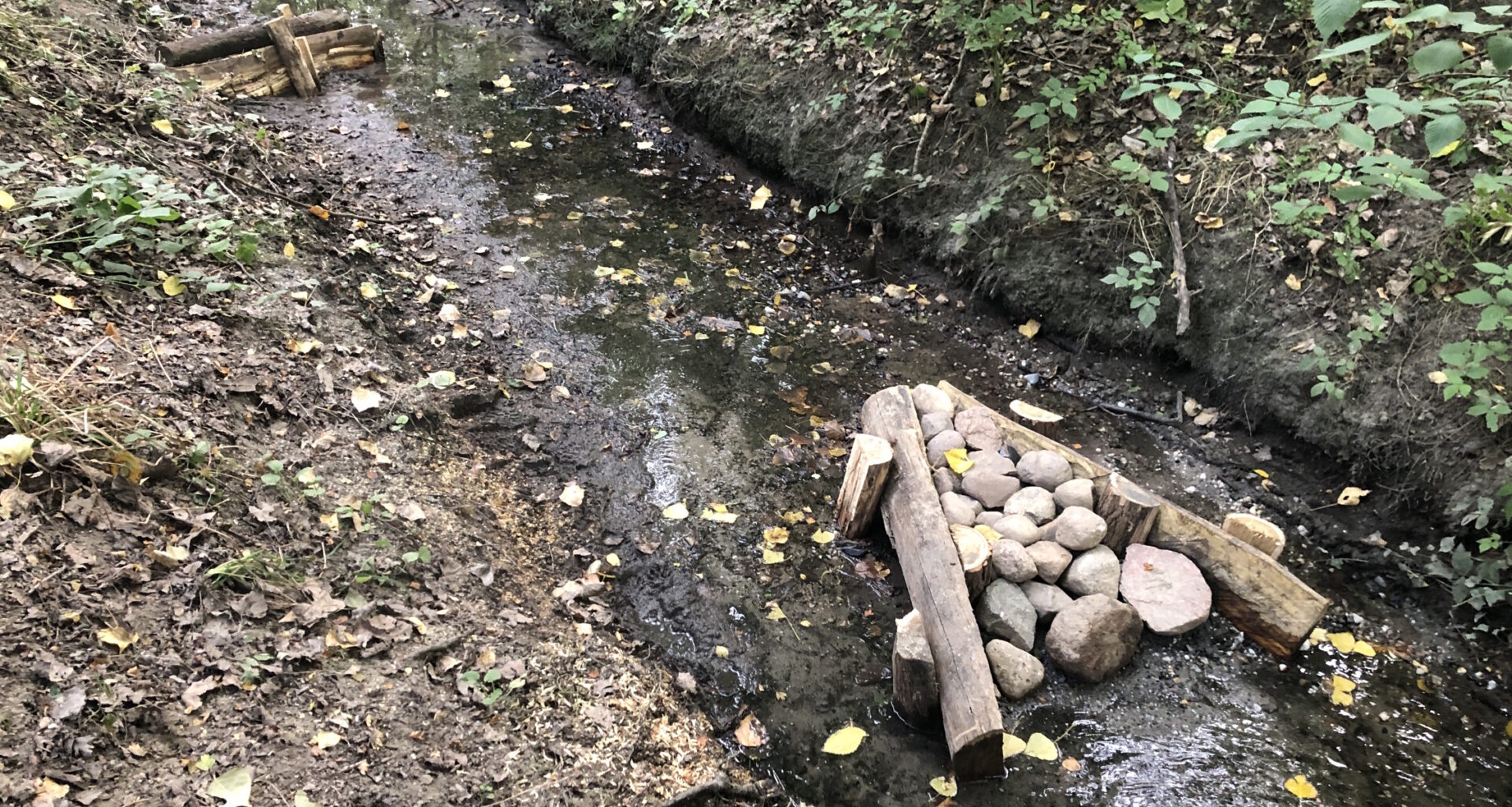 Beide Gewässer ökologisch aufgewertet · Leipziger Zeitung
