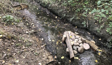 Beide Gewässer ökologisch aufgewertet · Leipziger Zeitung