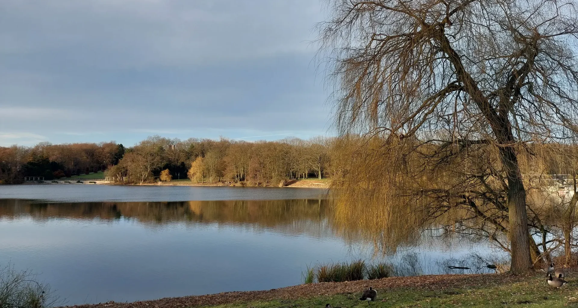 Blick über den Berger See, Gelsenkirchen