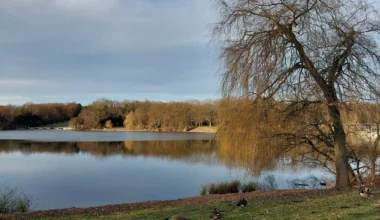 Blick über den Berger See, Gelsenkirchen