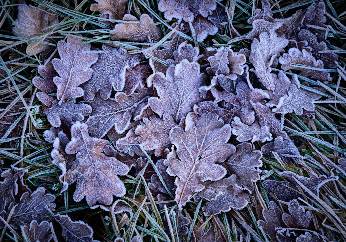 Wetter - Frost in Berlin und Brandenburg - Panorama