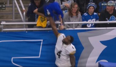 NFL Ergebnisse: Steelers-Star schlägt Fan mitten im Spiel ins Gesicht! | Sport