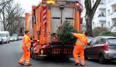 Das sind die Abhol-Termine für die Weihnachtsbäume in den Bezirken