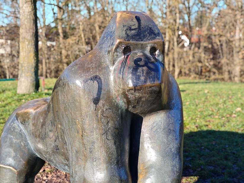 Poco F8 Pro - Originalaufnahmen 