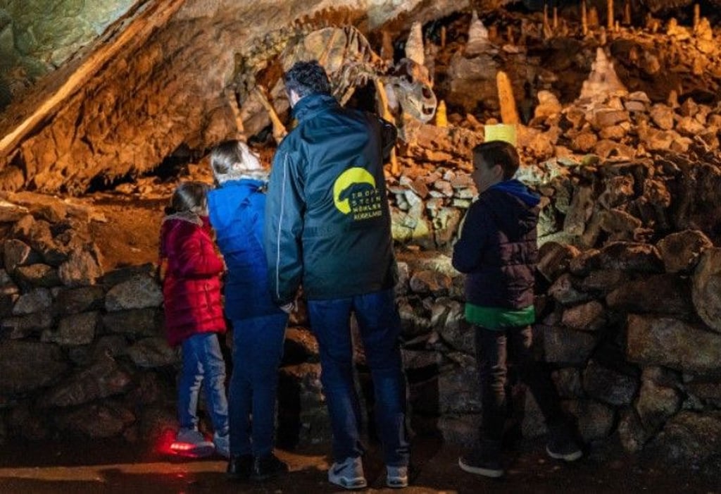 Mit Taschenlampe unterwegs: Kinder entdecken in der Rübeländer Tropfsteinhöhle spannende Geheimnisse und erfahren, wie Stalaktiten und Stalagmiten entstehen.