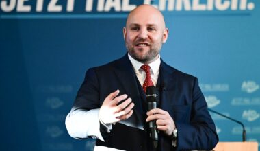 Weidel-Vertrauter Frohnmaier: AfD-Mann zieht in den USA über Deutschland her | Politik