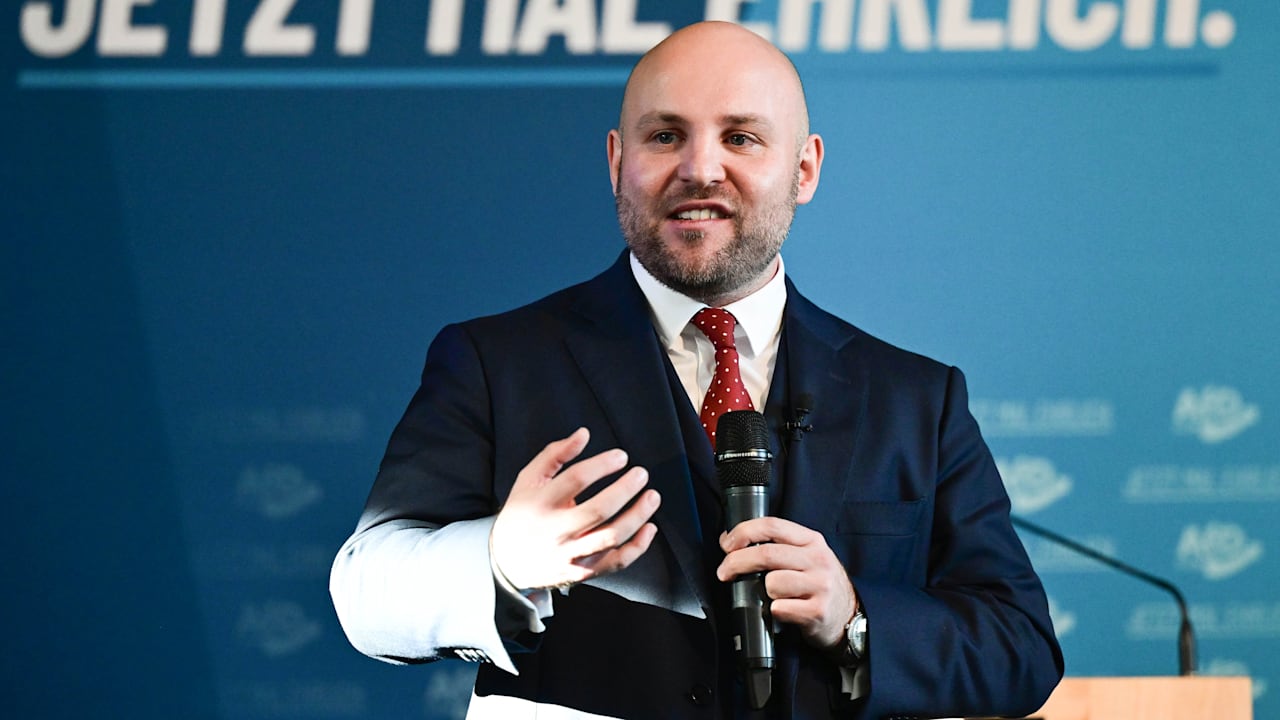 Weidel-Vertrauter Frohnmaier: AfD-Mann zieht in den USA über Deutschland her | Politik