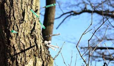Gefährliche Drogen-Nadeln: Spritzen-Baum von Berlin ist zurück | Regional