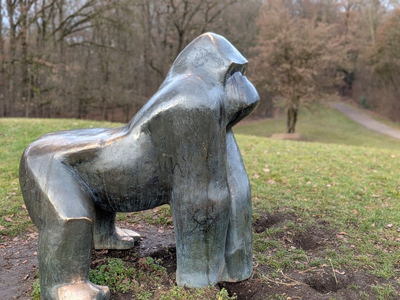 Google Pixel 10 Pro Fold - Originalaufnahmen