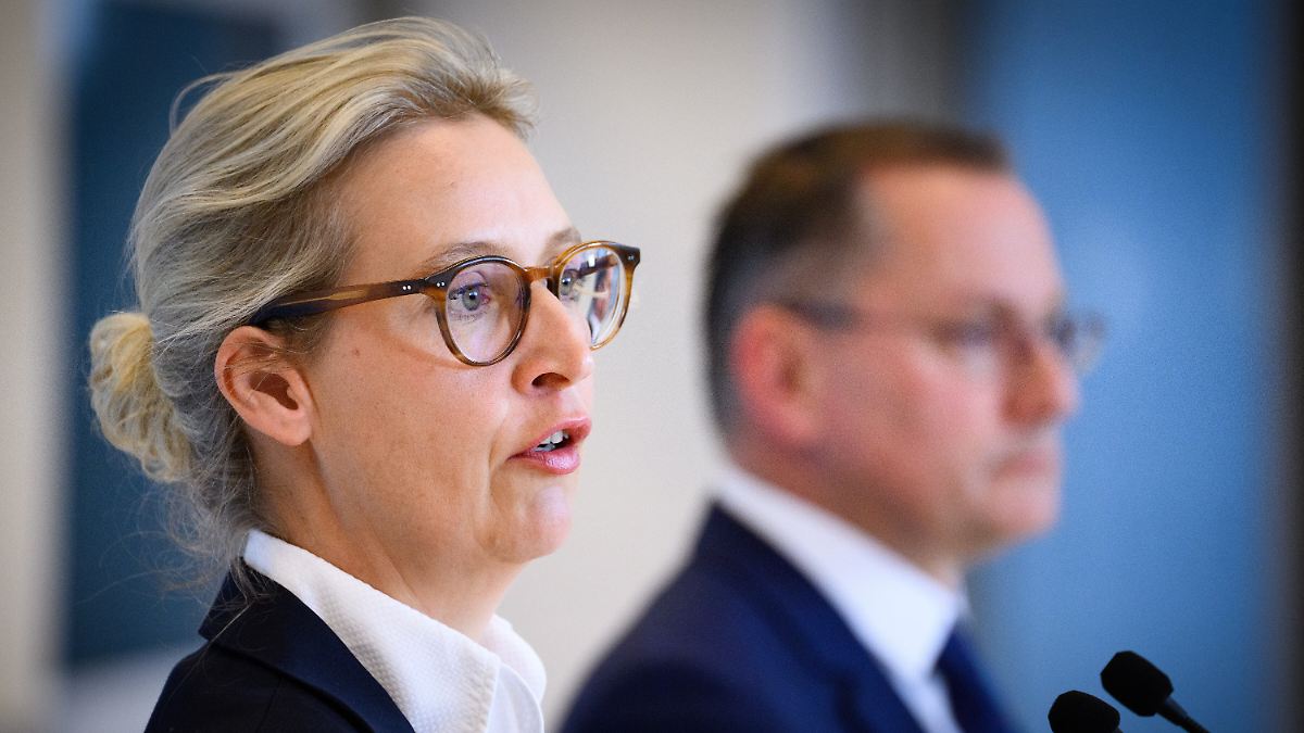 "AfD seit Jahren diffamiert": Weidel nennt Verfassungsschutz "Stasi-Spitzel"