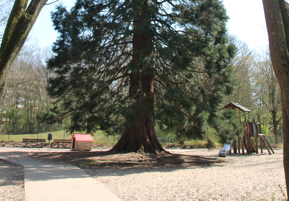 Das-BLV.de Wochenzeitung für Blumenthal, Lesum, Vegesack, Ritterhude und Schwanewede - Nachrichten - Burglesum