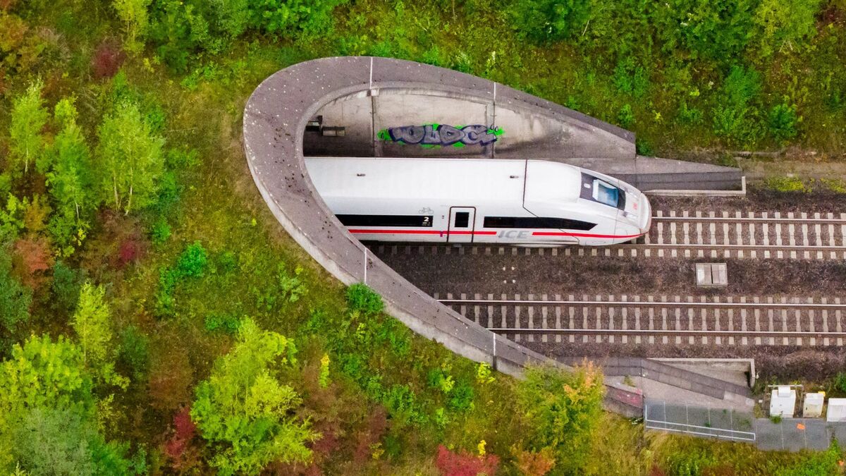 Die Bahn hat die Pläne für den Ausbau der Strecke Hannover-Bielefeld konkretisiert. Sie will weniger neue Tunnel bauen und damit die Kosten drücken. (Archivbild)