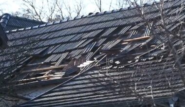 Tödliche Explosion bei Leipzig: Selbstgebastelter Böller tötet Mann und zerstört Dach