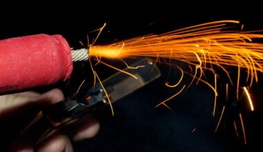 Berlin & Brandenburg: Tiere unter Böller-Stress: Nabu fordert ruhige Zonen