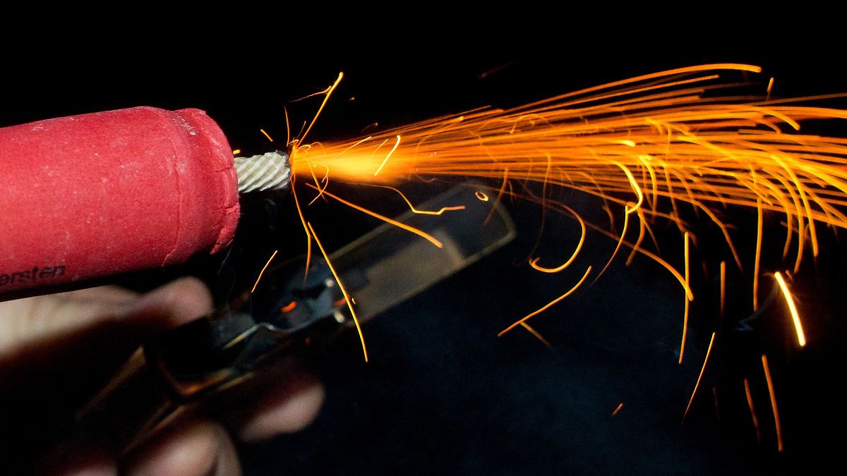 Berlin & Brandenburg: Tiere unter Böller-Stress: Nabu fordert ruhige Zonen