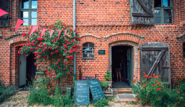 Artikelbild Wie Berlin und Brandenburg ihre Ernährungswirtschaft verzahnen