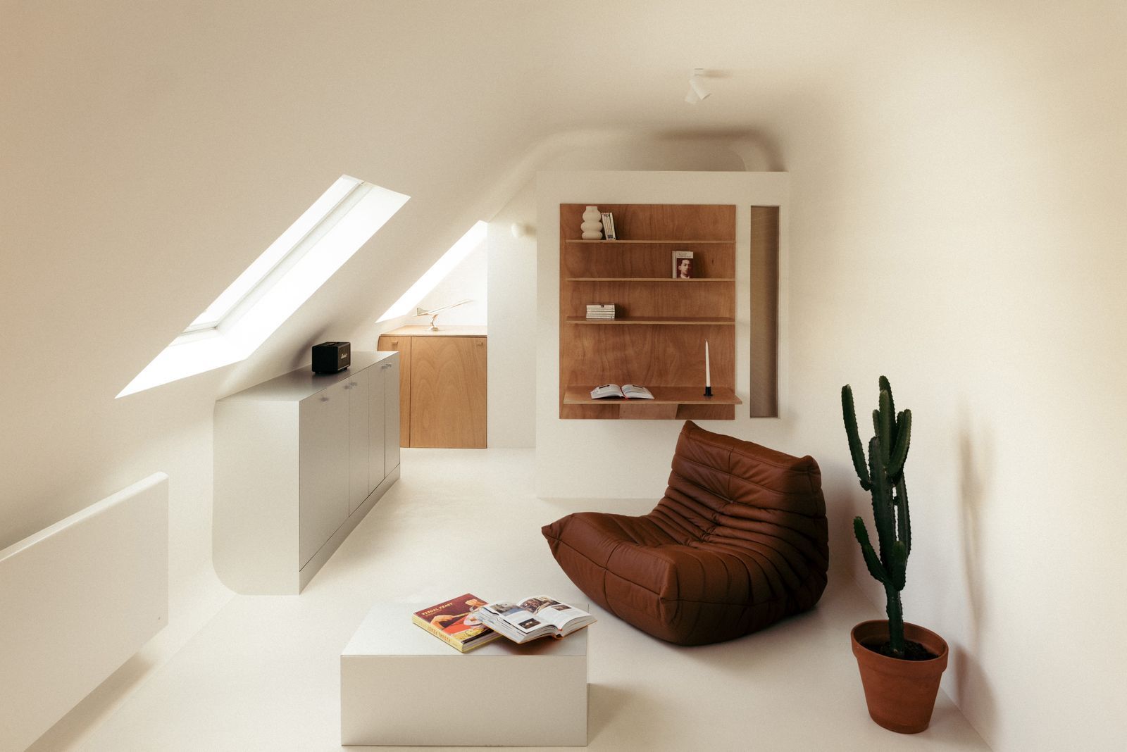appartamenti piccoli mansarda living divano pianta pareti bianche