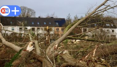 Bagger bereiten Bau von Wohnungen für Senioren in Kronshagen vor