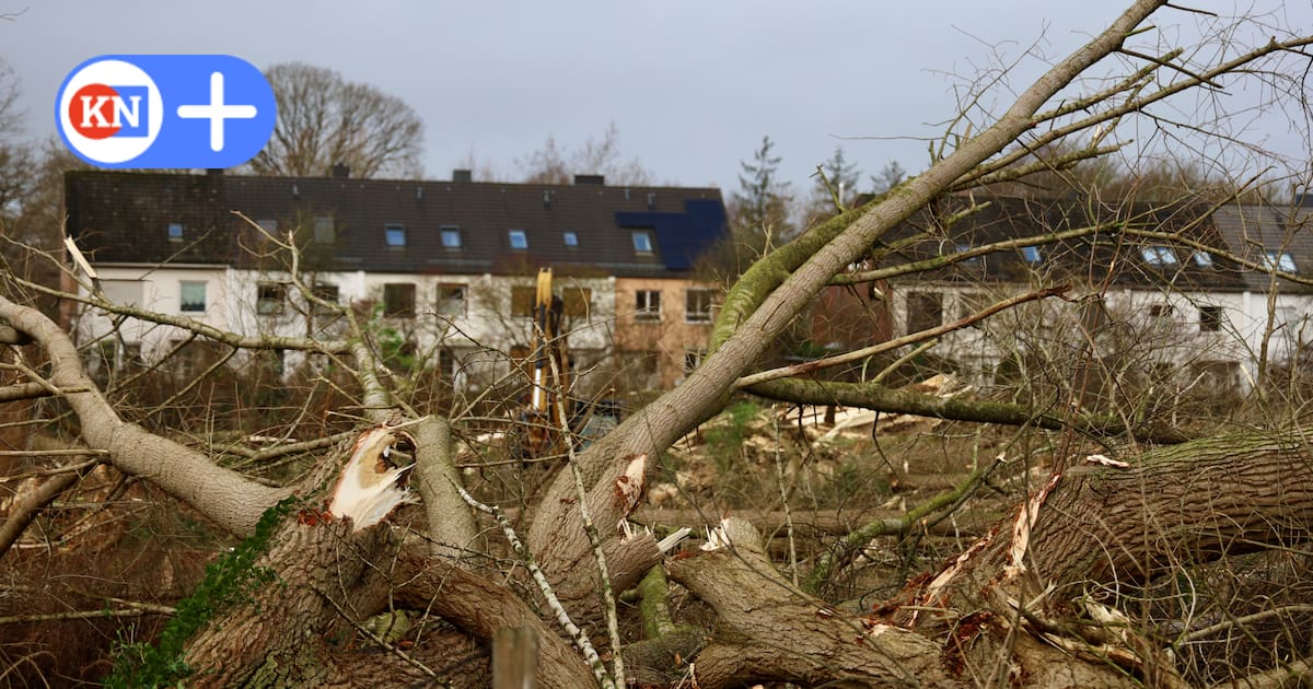 Bagger bereiten Bau von Wohnungen für Senioren in Kronshagen vor