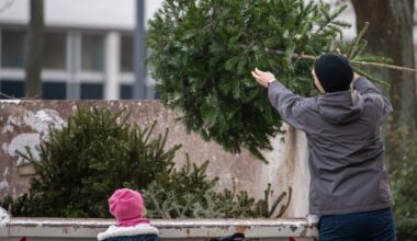 Kostenlos Weihnachtsbäume entsorgen in Dresden: Hier geht das